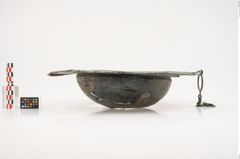 Foto von Bronzebreitrandschale (NHMW-PRAE-025543)